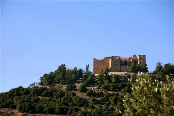 Slottet Ajloun