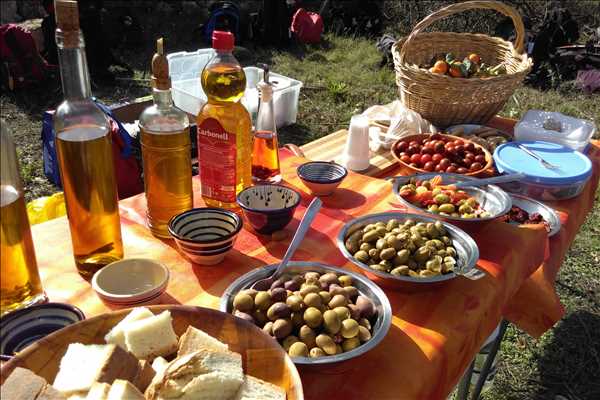 Provsmakning av oliver och olja