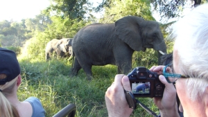Safari resa i Sydafrika på Makutsi safari med Singelresor