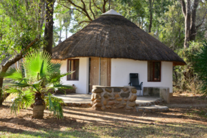 Safari resa i Sydafrika på Makutsi safari med Singelresor