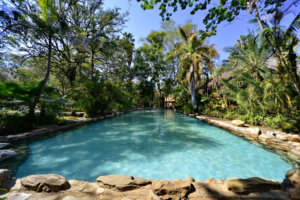 Safari resa i Sydafrika på Makutsi safari med Singelresor