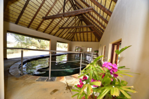 Safari resa i Sydafrika på Makutsi safari med Singelresor