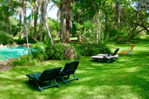 Safari resa i Sydafrika på Makutsi safari med Singelresor