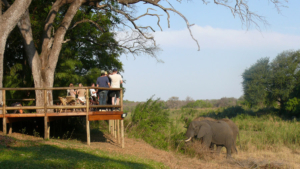 Safari resa i Sydafrika på Makutsi safari med Singelresor