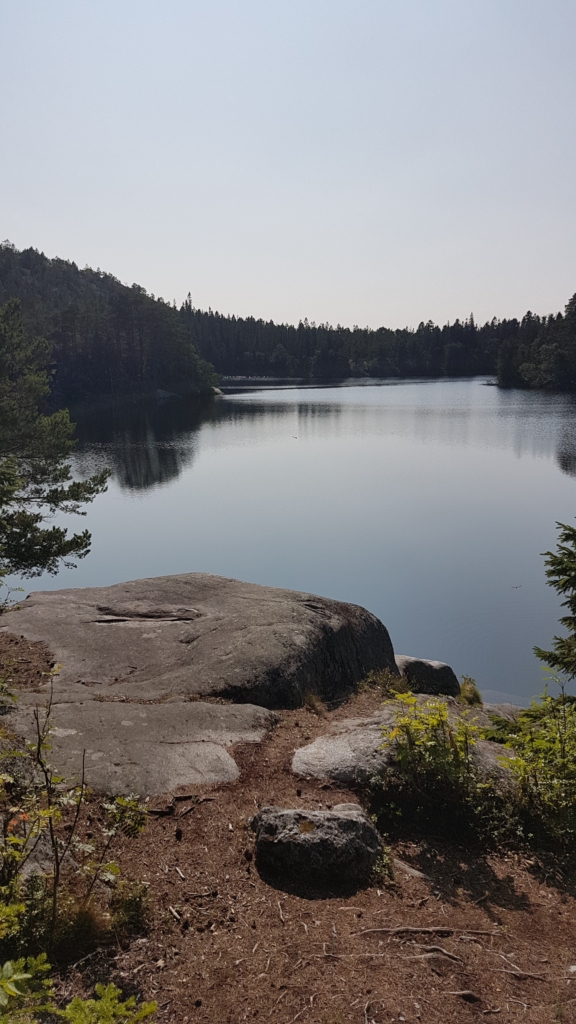 Vandringsresa i Höga Kusten med Singelresor