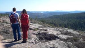 Vandringsresa i Höga Kusten med Singelresor