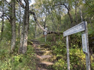 Vandringsresa i Storlien med Singelresor. Blomsterstigen