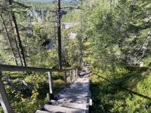 Vandringsresa i Storlien med Singelresor