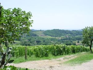 Vackra Toscana med Singelresor