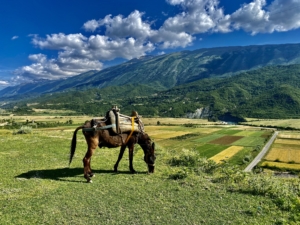 Rundresa i Albanien, Nordmakedonien och norra Grekland med Singelresor