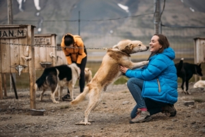 Svalbard med Singelresor