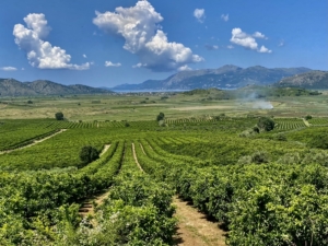 Rundresa i Albanien, Nordmakedonien och norra Grekland med Singelresor