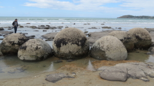 Rundresa i Nya Zeeland med Singelresor