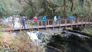 Rundresa i Nya Zeeland med Singelresor