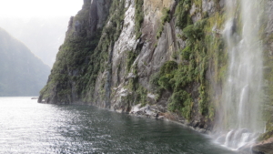 Rundresa i Nya Zeeland med Singelresor