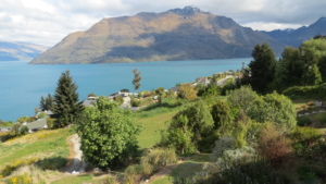 Rundresa i Nya Zeeland med Singelresor