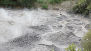 Rundresa i Nya Zeeland med Singelresor