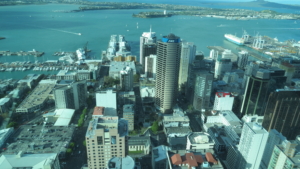 Rundresa i Nya Zeeland med Singelresor