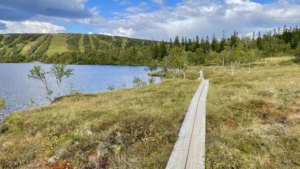 Vandringsresa i Storlien med Singelresor
