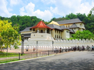 Sri Lanka rundresa med Singelresor