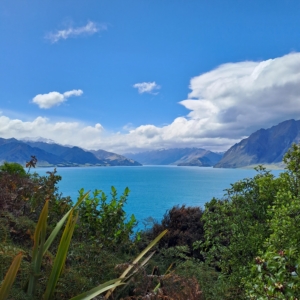 Rundresa i Nya Zeeland med Singelresor