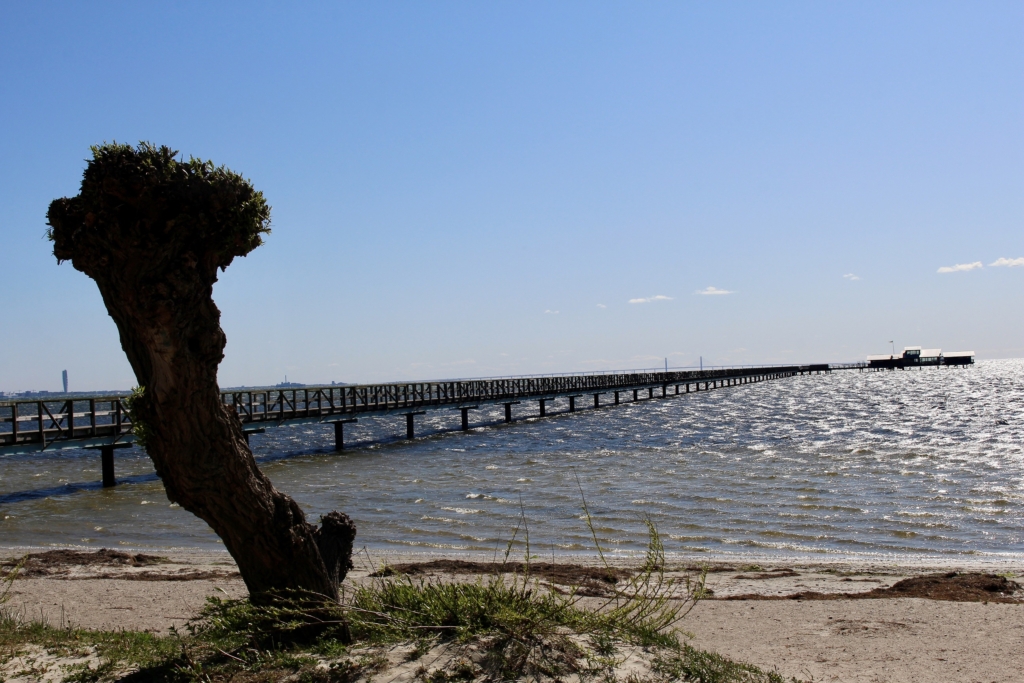 Cykelresa i vackra Skåne med Singelresor