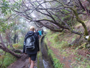 Vandring på Madeira med Singelresor
