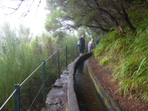 Vandring på Madeira med Singelresor