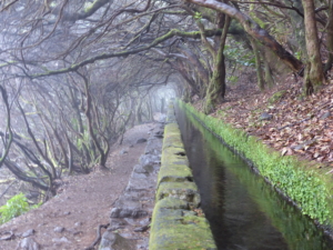 Vandring på Madeira med Singelresor