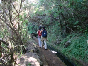 Vandring på Madeira med Singelresor