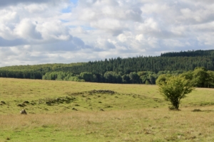 Cykelresa i vackra Skåne med Singelresor