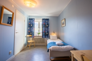 Vandringsresa i Abisko med Singelresor