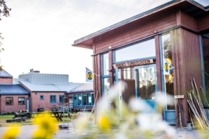 Vandringsresa i Abisko med Singelresor