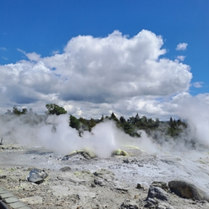Rundresa i Nya Zeeland med Singelresor