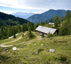 Vandringsresa till Flachau i Österrike med Singelresor