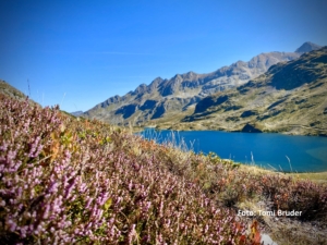 Vandringsresa till Flachau i Österrike med Singelresor