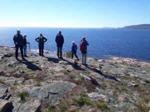 Vandringsresa i Höga Kusten med Singelresor