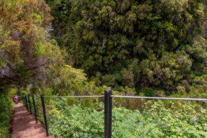 Vandring på Madeira med Singelresor