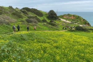 Vandringsresa Vicentinakusten i Portugal med Singelresor