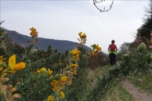 Vandrings- och kulturresa till Andalusien med Singelresor