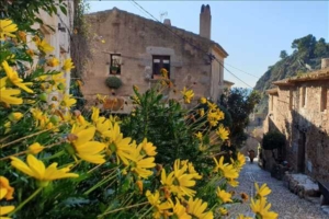 Fira midsommar i Spanien med vår guide Carmen och Singelresor