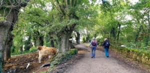 Pilgrimsvandring till Santiago de Compostela i Spanien med Singelresor