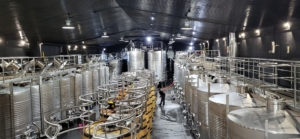 Vin- och kulturresa i Portugal och Galicien med Singelresor