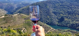 Vin- och kulturresa i Portugal och Galicien med Singelresor