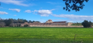 Kultur, konst- och vinresa till historiska kuststaden Roses