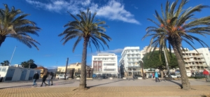 Kultur, konst- och vinresa till historiska kuststaden Roses