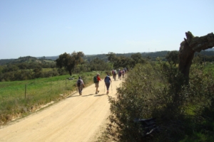 Vandringsresa Vicentinakusten i Portugal med Singelresor