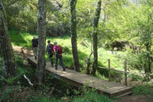 Vandringsresa Vicentinakusten i Portugal med Singelresor