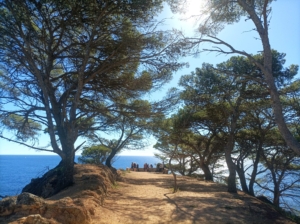 Vandringsresa i Katalonien i Spanien med Singelresor