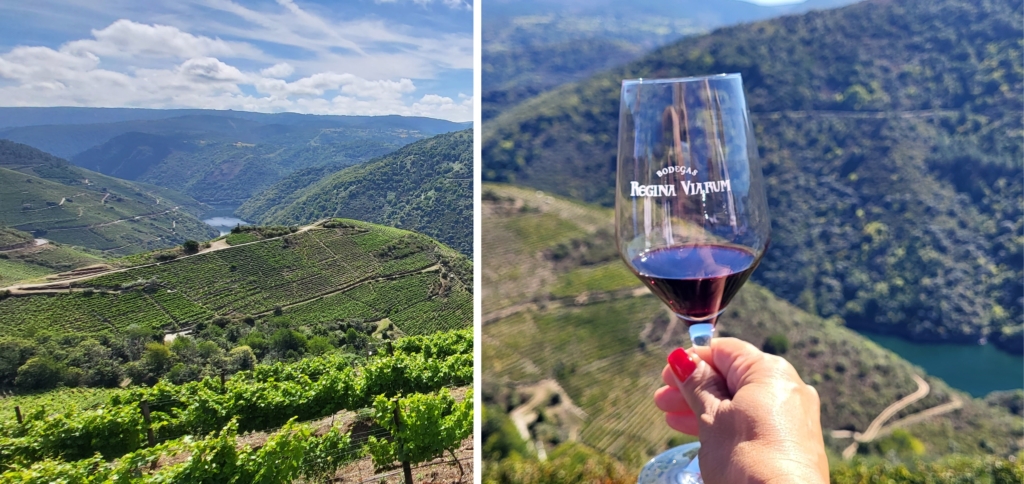 Vin- och kulturresa till Portugal och Galicien